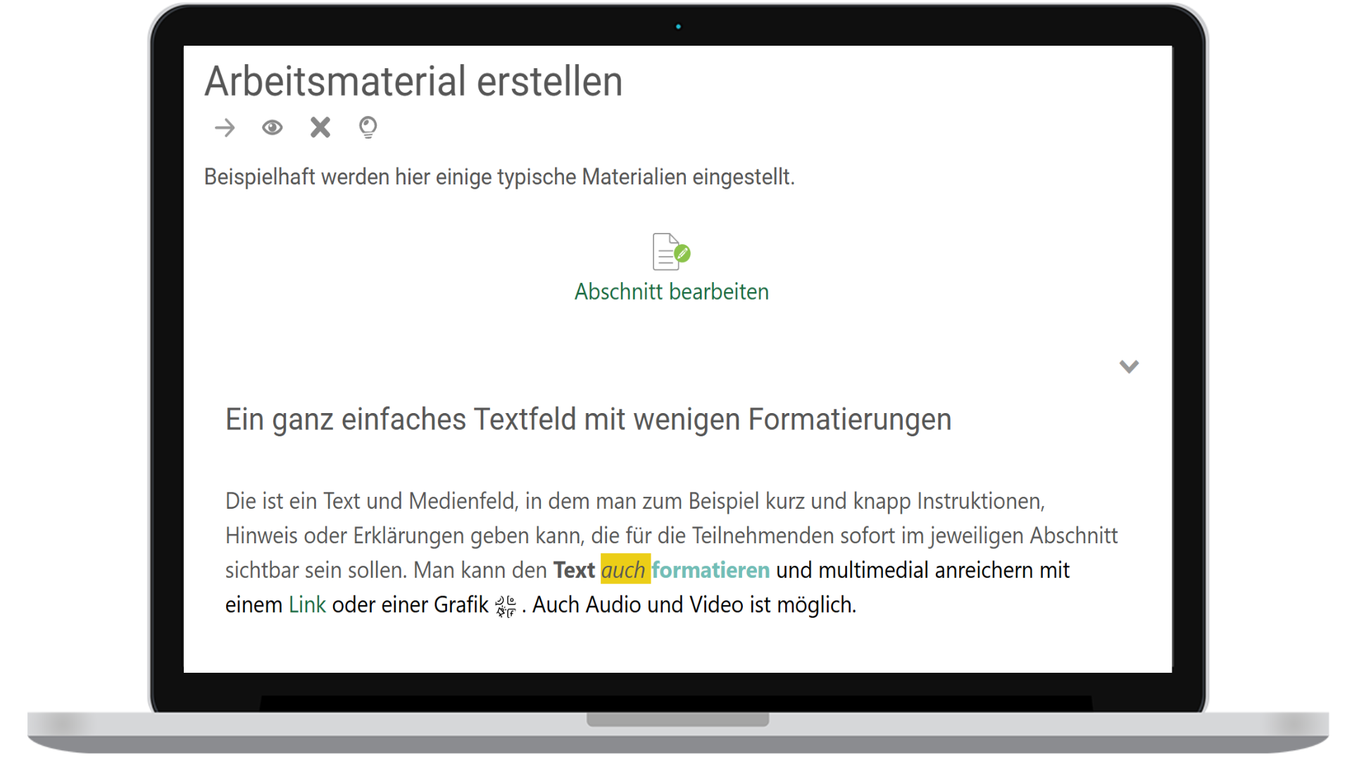 Screenshot eines typischen Textfeldes